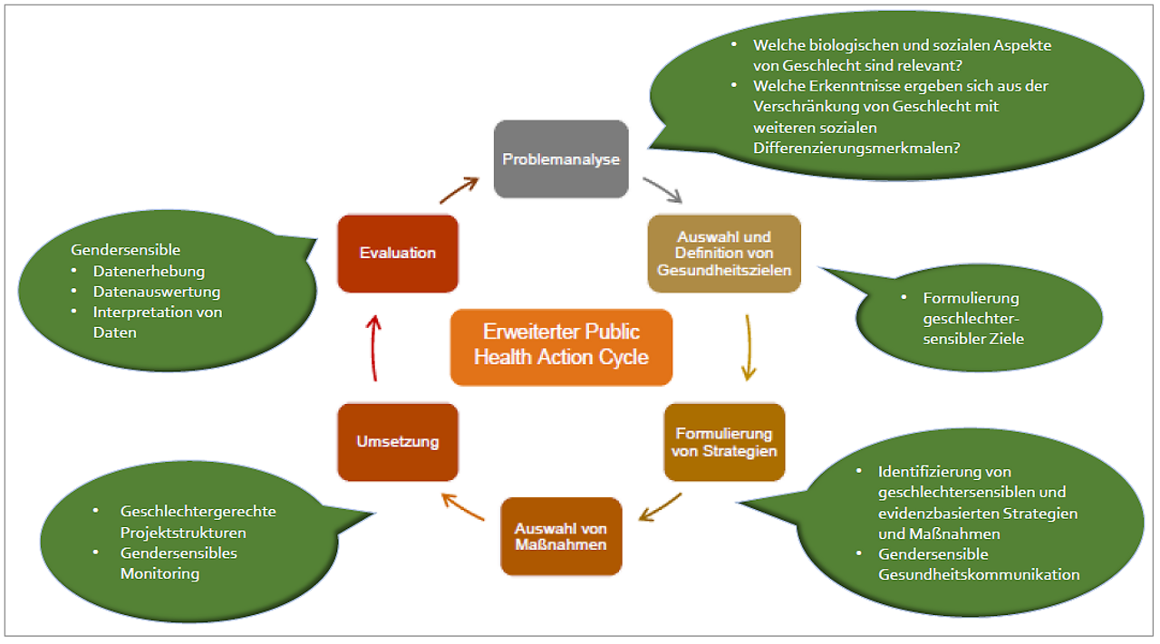 Abb. 2: Gendersensibler Public Health Action Cycle