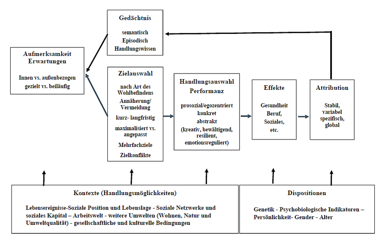 Informationsverarbeitungsmodell des Wohlbefindens
