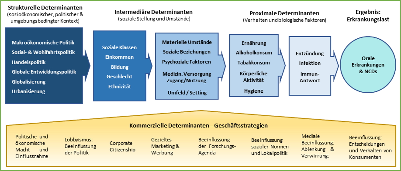 Determinanten der Mundgesundheit