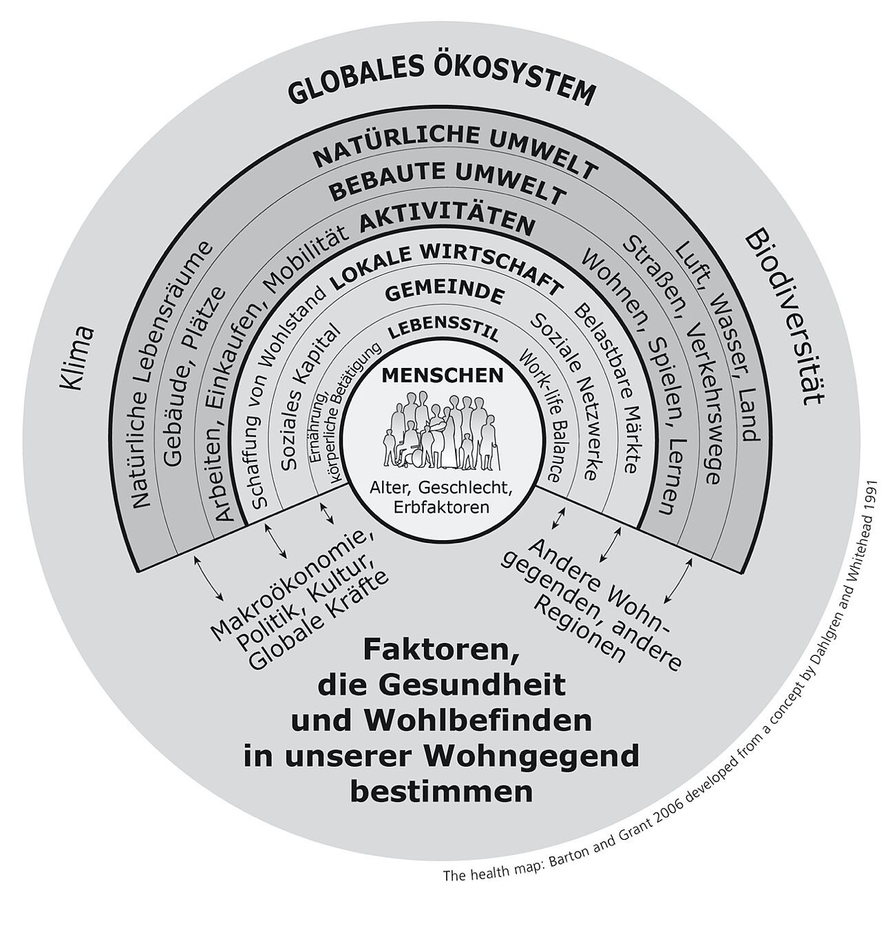 Das humanökologische Modell der Gesundheitsdeterminanten nach Barton und Grant