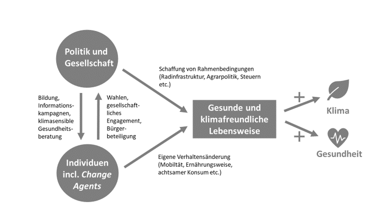 Zusammenspiel von Individuen sowie Politik und Gesellschaft im Hinblick auf gesundheitsförderliche und klimafreundliche Lebensweisen 