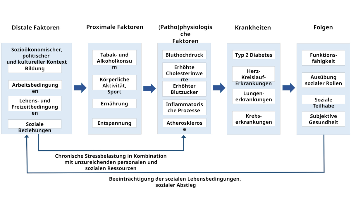 Kausalketten der Krankheitsentstehung
